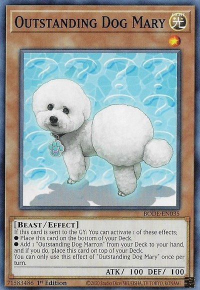 Outstanding Dog Mary
