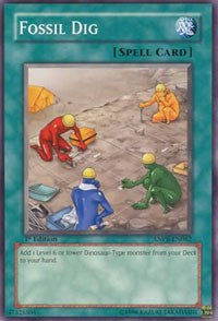 Fossil Dig