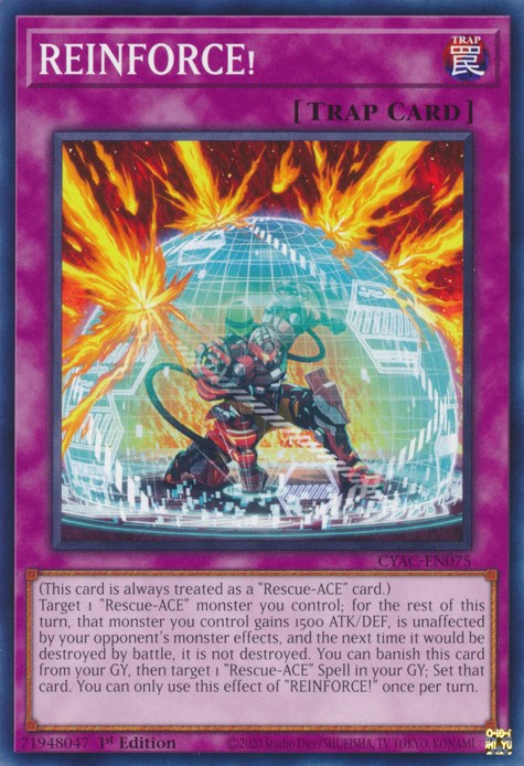 REINFORCE!