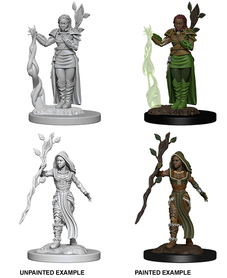Dungeons & Dragons - Nolzur's Marvelous Miniatures: Human Druid