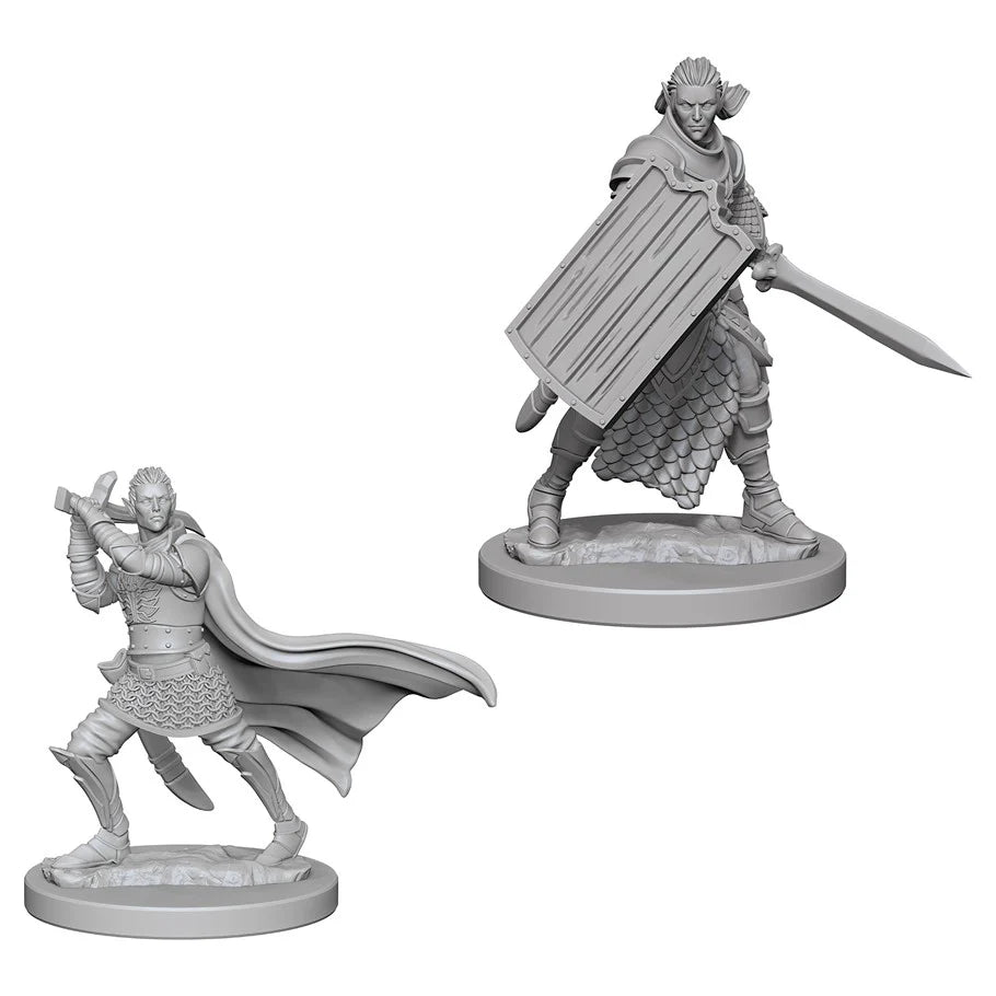 Pathfinder - Deep Cuts: Elf Male Paladin