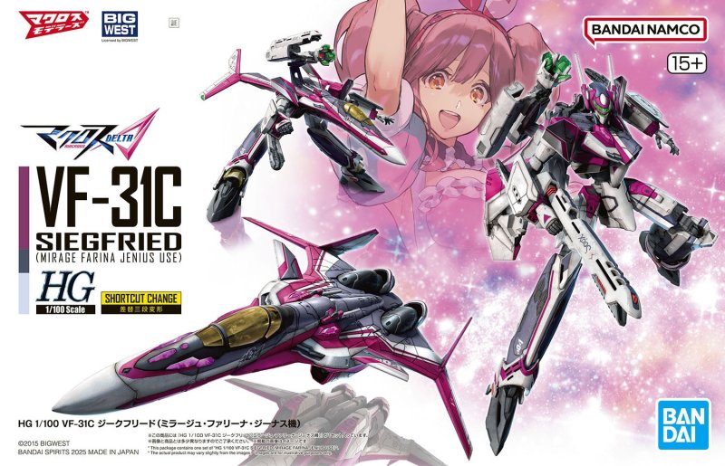 HG 1/100 VF-31C SIEGFRIED (MIRAGE FARINA JENIUS USE)