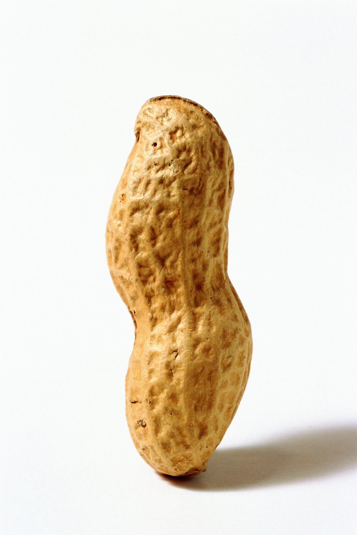Extra Premium Snack