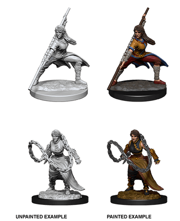 D&D Nolzur's Marvelous Miniatures: Human Monk