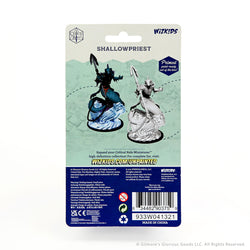 Critical Role Unpainted Miniatures: Aeorian Nullifier